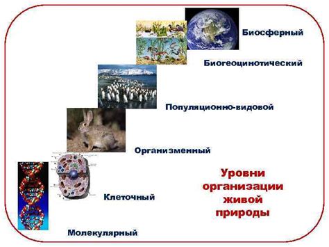 Биологическая уникальность различных территорий