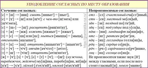 Особенности согласных звуков в слове "ветеринар"