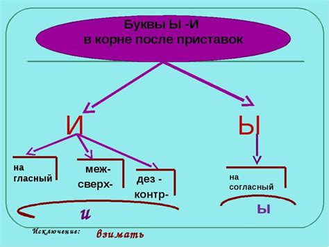 После приставки и корня: правильное образование слова "ветеринар"