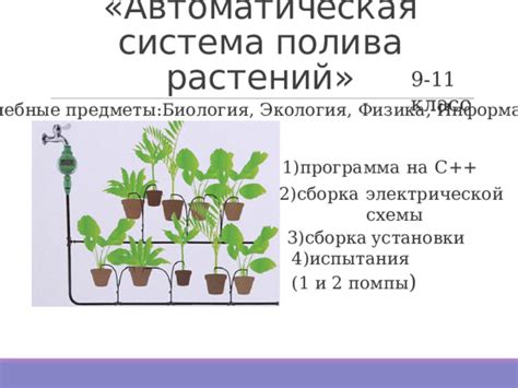 Потенциал применения исследования электрической деятельности растений в ботании