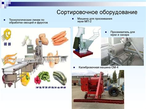 Процесс обработки сырья: от природы к готовому материалу