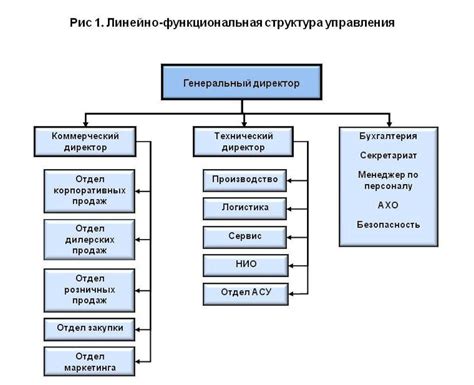 Размер и структура