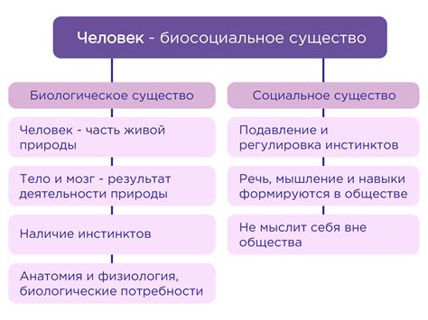 Симпатия в контексте 6 класса обществознания: социальное явление