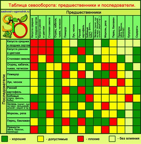 Шаг 1: Приобретение огородных культур и красного камня