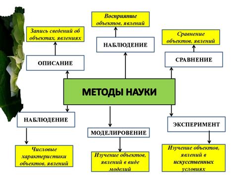 Экспериментальные методы изучения процесса инициирования искрообразования в растениях