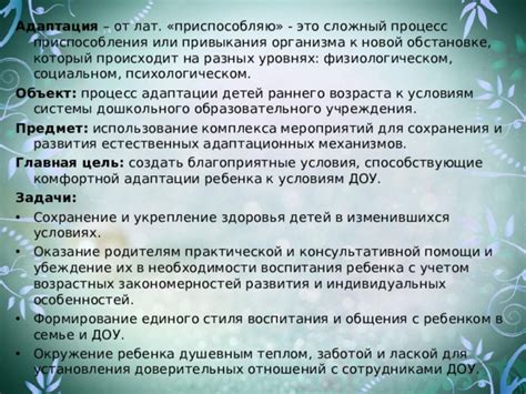 Адаптация расписания к особенностям разных возрастных групп детей