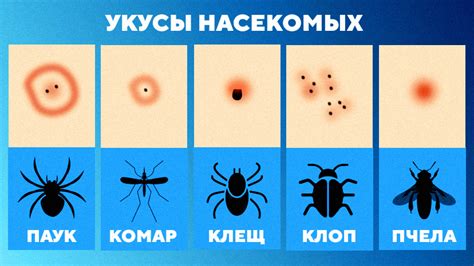 Адресуем проблему: почему липучка привлекает насекомых и волосинки?