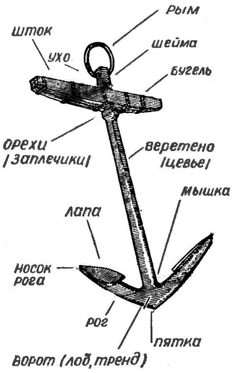 Активация регенерационного якоря в Мире Клеянского Периода