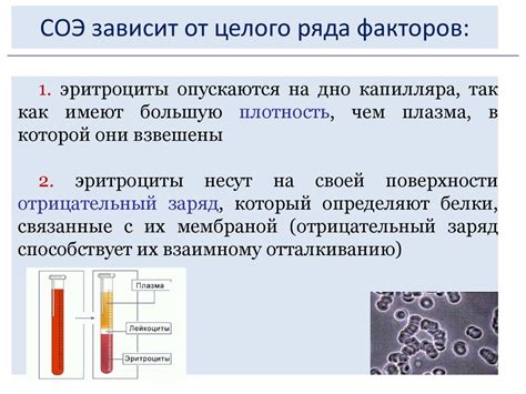 Альтернативные факторы, способствующие увеличению уровня оседания эритроцитов