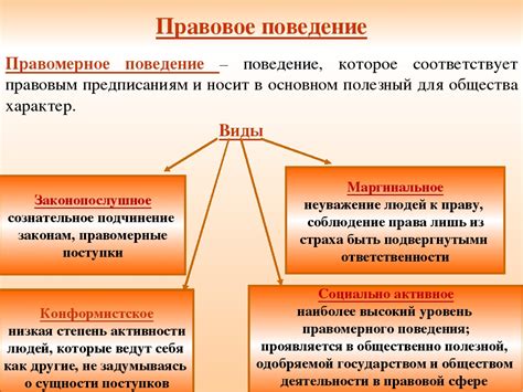 Анализ активности и поведения