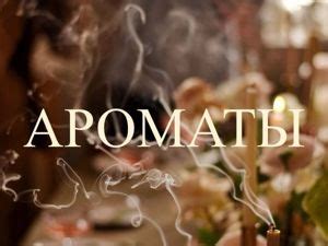 Анализ запаха: понимание и распознавание необычных ароматов