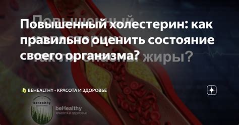 Анализ личной долговременной выносливости: оцените состояние своего организма