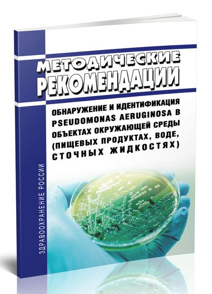 Анализ окружающей среды: обнаружение необходимых предметов