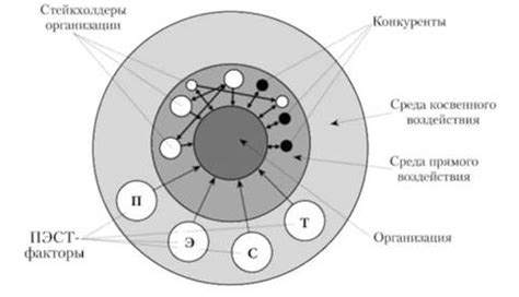 Анализ потока информации из окружающей среды: понимание воздействия на организацию