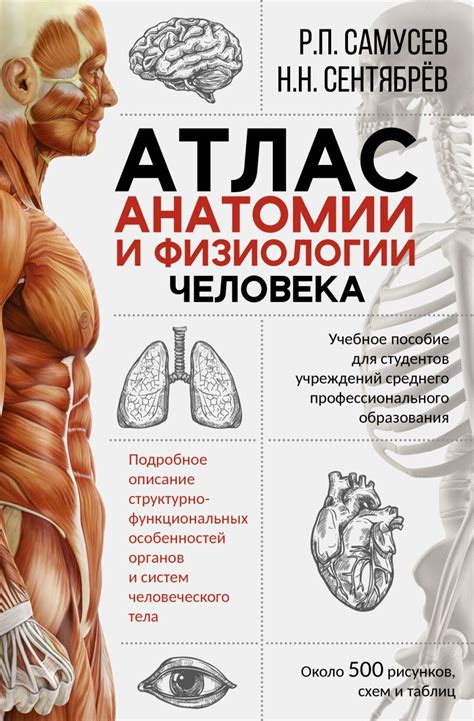 Анатомия и физиология