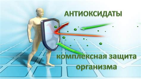 Антиоксиданты в нерке: защита от свободных радикалов