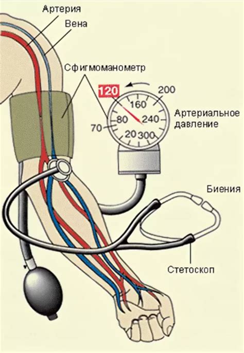 Артериальное давление: основные понятия и способы измерения