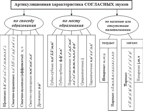 Артикуляционные особенности беззвучных согласных