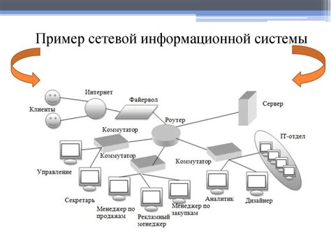 Базы данных и обращение к источникам информации: их роль в определении мест использования домена