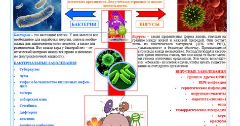 Бактериальная инфекция: источник продолжительного расстройства желудка