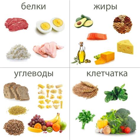 Белковое питание для золотистых пушистиков: мясо, рыба и яйца