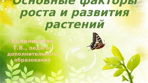 Биологическая активность и плодородие: ключевые факторы развития растений