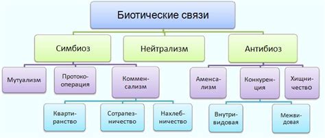 Биологические связи и эмоциональные взаимоотношения