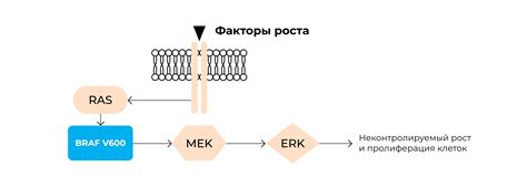 Благотворное воздействие таргетированной терапии на меланому при наличии BRAF мутации