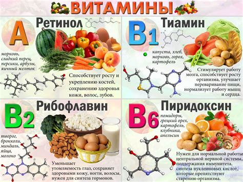 Важность здорового питания для развития мизинца: роль витаминов и минералов