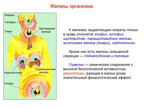 Важность здоровья эндокринной системы для мужчин