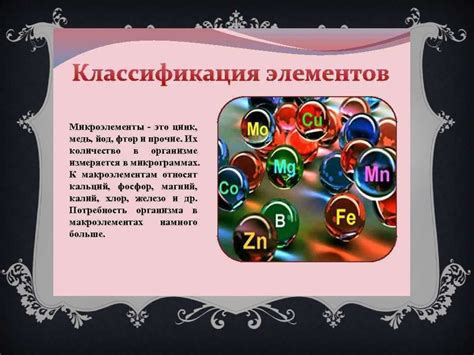 Важность наличия необходимых микроэлементов в рационе школьников