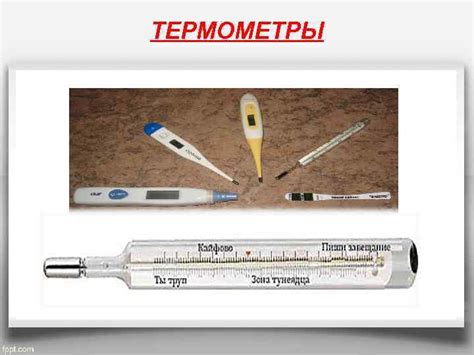 Важность оптимальной терморегуляции