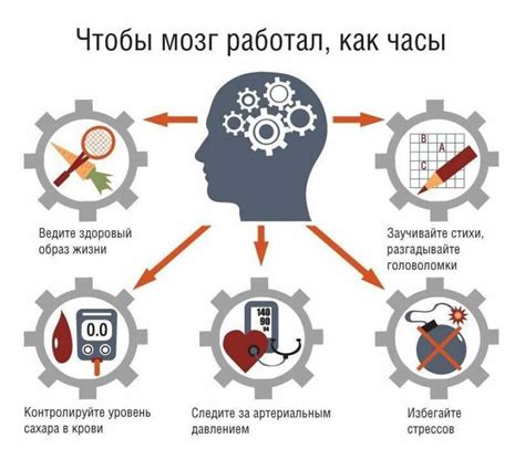 Важность отдыха для сохранения памяти и обучения