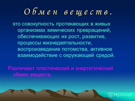 Важность понимания протекающих процессов