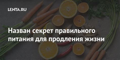 Важность правильного питания для продления жизни: забота о нашем организме