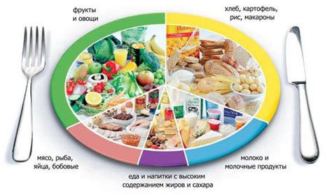 Важность сбалансированного питания и рационального подхода к питанию