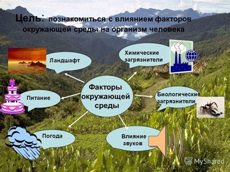 Важность сохранения энергии и ее воздействие на окружающую среду