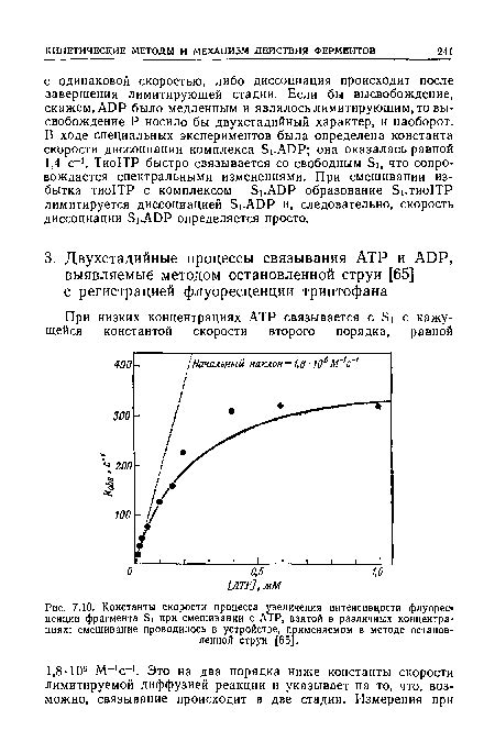 Важность точного соотношения ингредиентов при смешивании различных фруктов