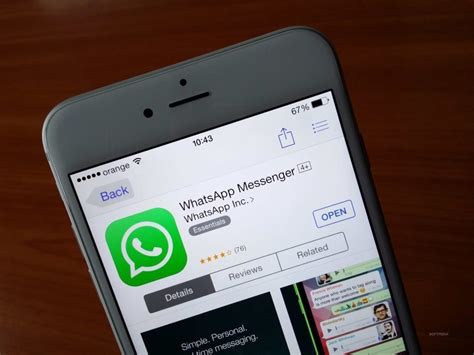 Важность уведомлений для бизнеса в мессенджере WhatsApp