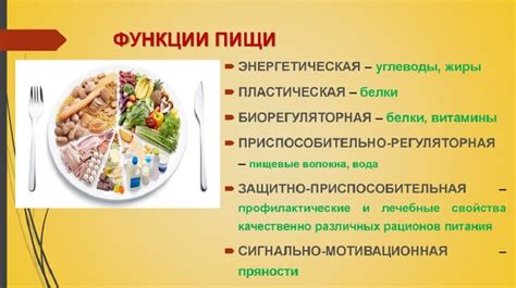 Важные компоненты питания: роли белков, жиров и углеводов в организме