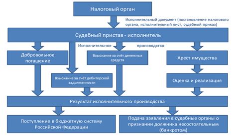 Важные сроки и условия определения положения ИП в государственной налоговой службе