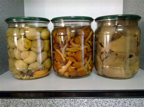 Варианты использования соленых грибов в разнообразных кулинарных рецептах