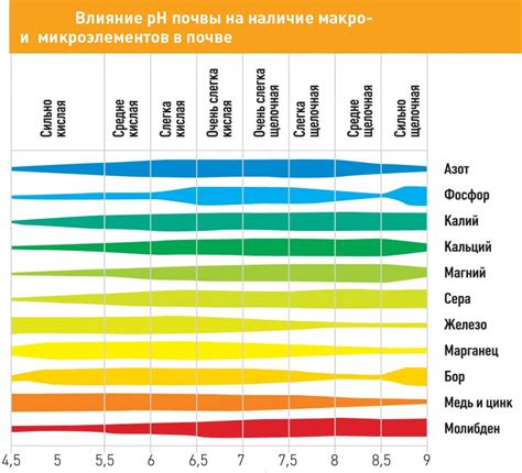 Вариативность реликвий в зависимости от уровня редкости