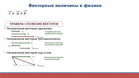 Векторные атрибуты в физике: понятия и особенности