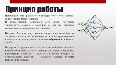 Вектор развития: перспективы применения нейронных сетей в различных сферах деятельности