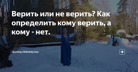 Верить или не верить: разные мнения о явлении с синичкой