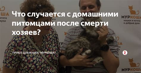 Взаимодействие с местными властями для предупреждения происшествий с домашними питомцами