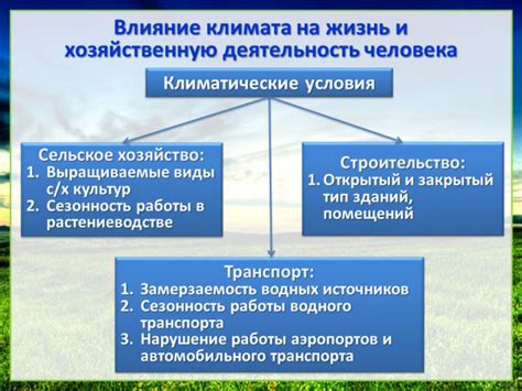 Взаимосвязь климатических условий и функционирования носовой полости: влияние окружающей среды на дыхательную систему