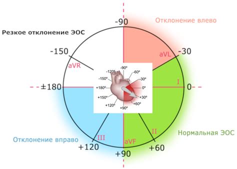 Взаимосвязь положения ЭОС и функции сердца