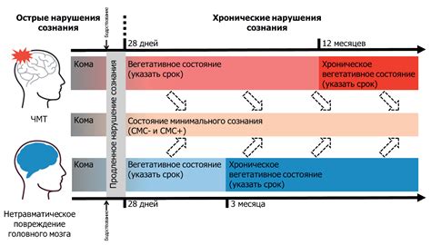 Взаимосвязь эпилепсии и нарушений сознания